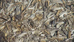 A visually-busy image of some wood chippings
