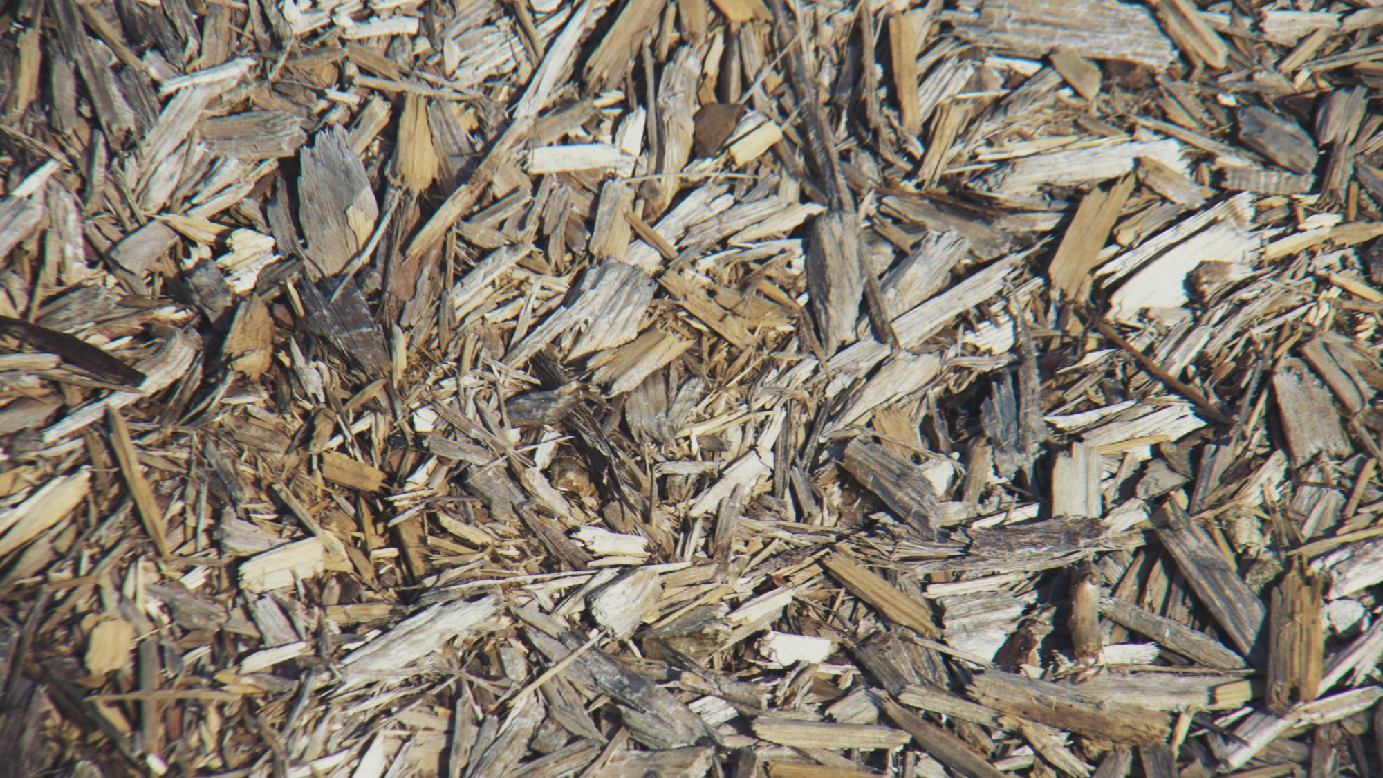 A visually-busy image of some wood chippings