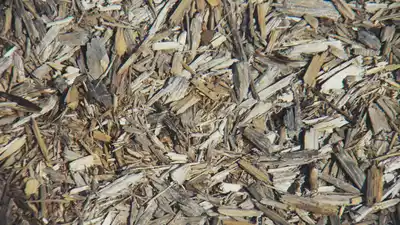 A visually-busy image of some wood chippings